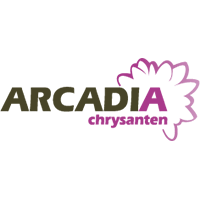 Arcadia logo